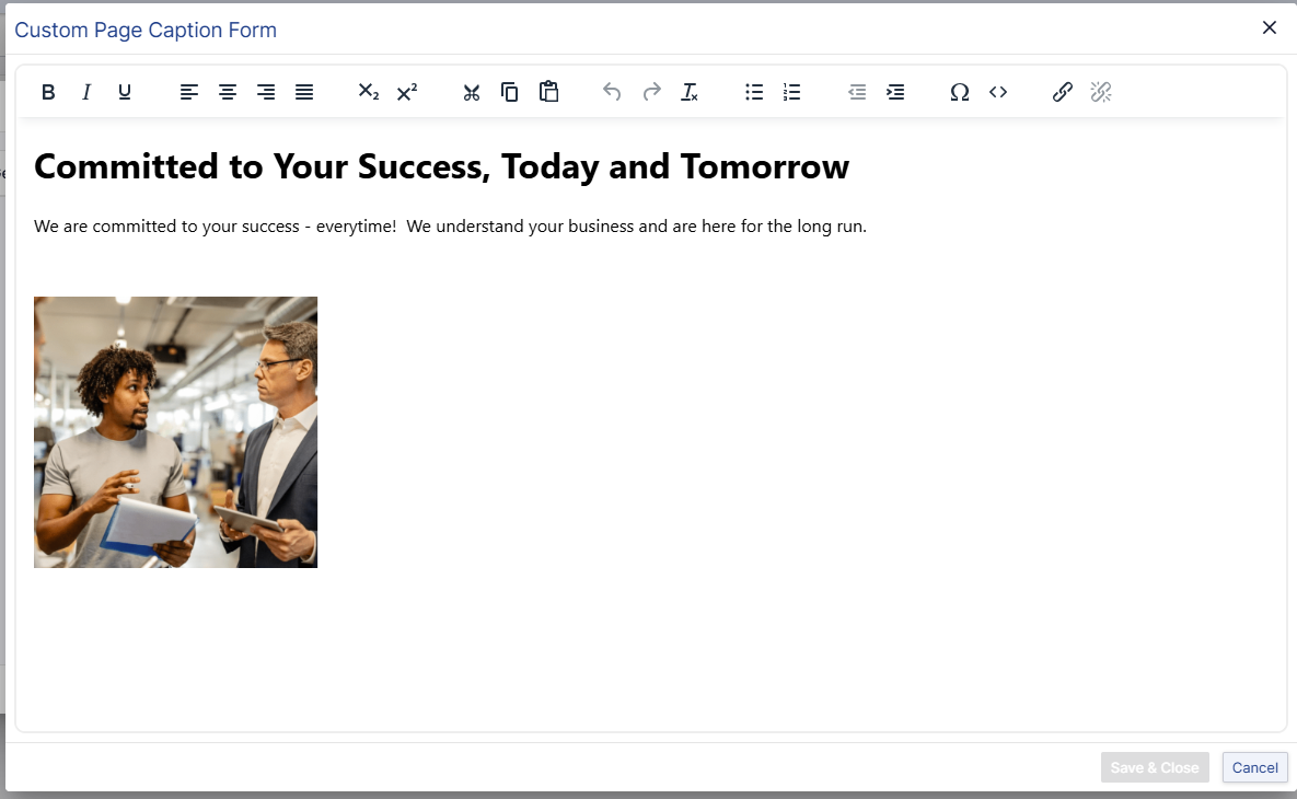 Perfion Content Store -  customer pages editor